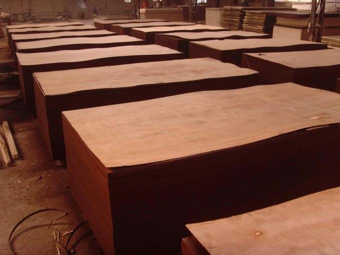 La madera contrachapada de gran tamaño del pegamento de la flexibilidad WBP cubre/el panel del proyecto de la madera contrachapada de la base del álamo