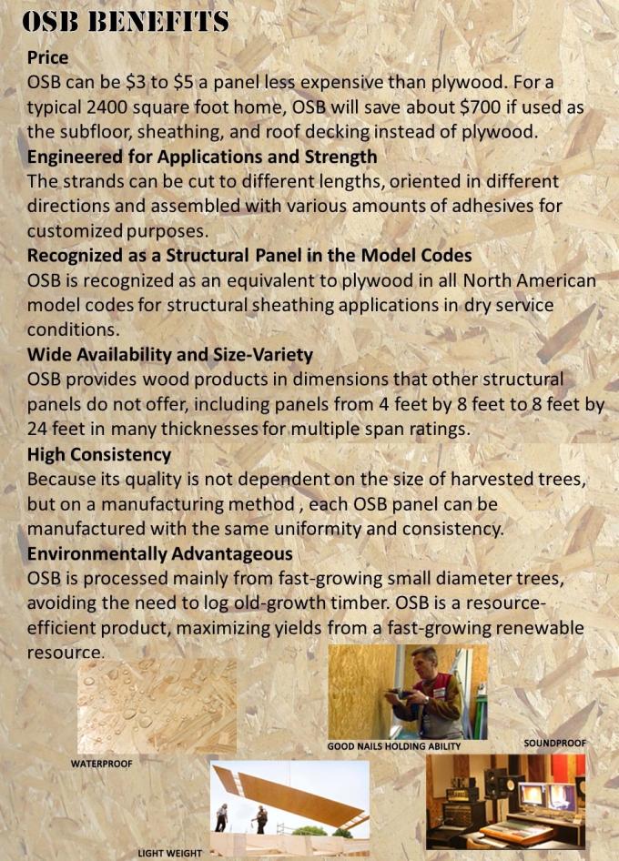 La madera amistosa de la base OSB del pino de Eco cubre/el tablero resistente de humedad OSB de los muebles